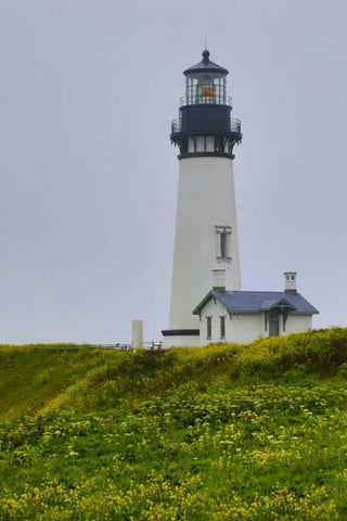 USA, Oregon Yaquina Head Lighthouse on foggy day Black Ornate Wood Framed Art Print with Double Matting by Carter, Jean