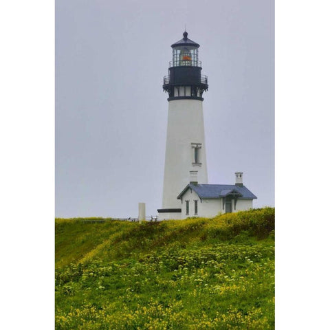 USA, Oregon Yaquina Head Lighthouse on foggy day Black Modern Wood Framed Art Print by Carter, Jean