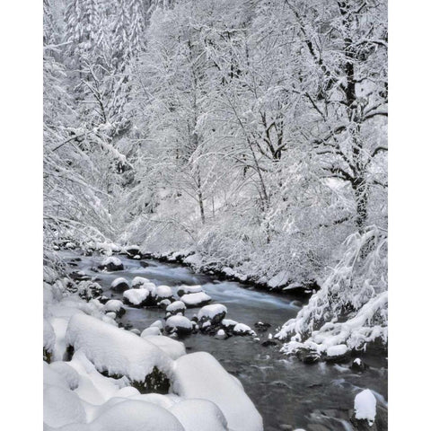 Oregon, Mt Hood NF Snow on Boulder Creek Black Modern Wood Framed Art Print with Double Matting by Terrill, Steve