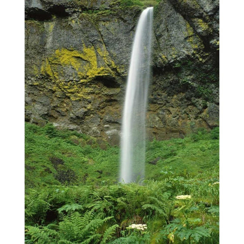 OR, Columbia River Gorge NSA Elowah Falls scenic Black Modern Wood Framed Art Print by Terrill, Steve