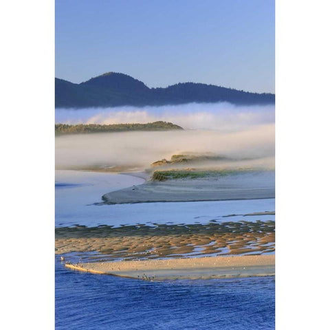 USA, Oregon Fog over Netarts Bay Black Modern Wood Framed Art Print by Terrill, Steve
