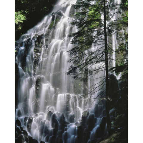 Oregon, Mt Hood Wilderness Ramona Falls White Modern Wood Framed Art Print by Terrill, Steve