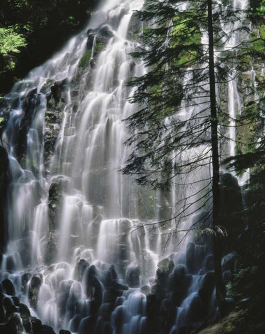 Oregon, Mt Hood Wilderness Ramona Falls White Modern Wood Framed Art Print with Double Matting by Terrill, Steve