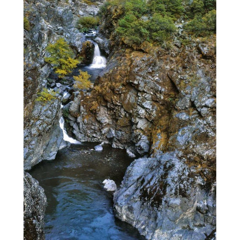 Oregon Stair Creek Falls along the Rogue River Black Modern Wood Framed Art Print by Terrill, Steve