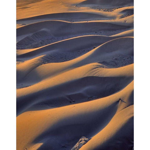 Oregon, Cape Sebastian Close-up of sand dunes Black Modern Wood Framed Art Print with Double Matting by Terrill, Steve