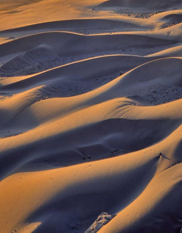 Oregon, Cape Sebastian Close-up of sand dunes White Modern Wood Framed Art Print with Double Matting by Terrill, Steve