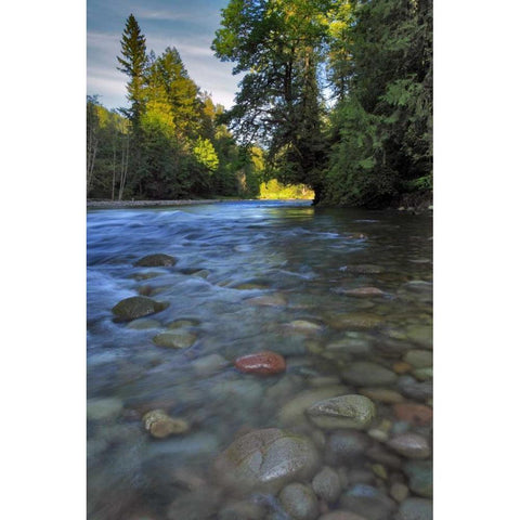 Oregon, Mt Hood NF Sandy River landscape Black Modern Wood Framed Art Print by Terrill, Steve