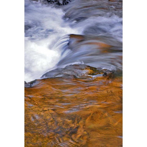 USA, Oregon Waterfall in South Fork River Black Modern Wood Framed Art Print with Double Matting by Terrill, Steve
