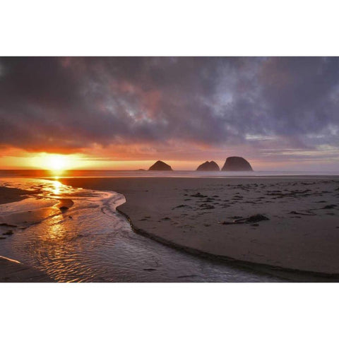 Oregon, Oceanside Sunset on Three Arch Rocks Gold Ornate Wood Framed Art Print with Double Matting by Terrill, Steve