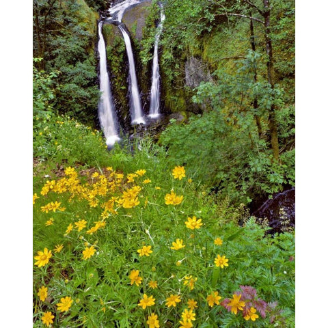 Oregon, Columbia River Gorge NSA Triple Falls Black Modern Wood Framed Art Print with Double Matting by Terrill, Steve