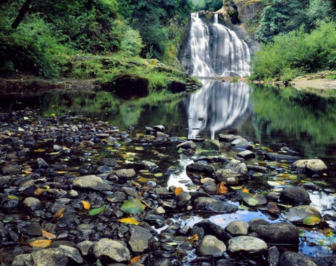 Oregon, Youngs River Falls Waterfall landscape Black Ornate Wood Framed Art Print with Double Matting by Terrill, Steve