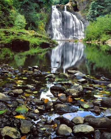 Oregon, Youngs River Falls Waterfall landscape Black Ornate Wood Framed Art Print with Double Matting by Terrill, Steve
