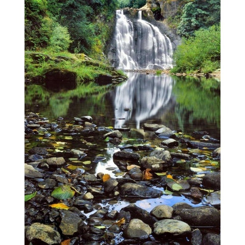 Oregon, Youngs River Falls Waterfall landscape Black Modern Wood Framed Art Print with Double Matting by Terrill, Steve