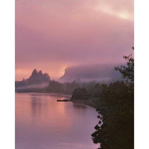 OR, Columbia Gorge NSA Fog along Columbia River Gold Ornate Wood Framed Art Print with Double Matting by Terrill, Steve