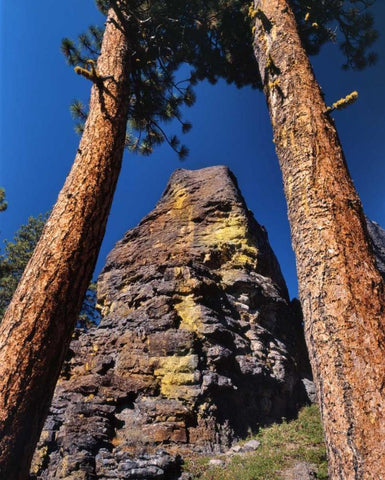 OR, Gearhart Mountain Trees frame rock formation Black Ornate Wood Framed Art Print with Double Matting by Terrill, Steve