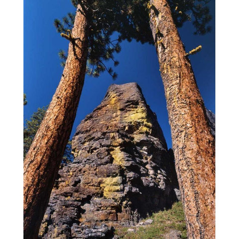 OR, Gearhart Mountain Trees frame rock formation Black Modern Wood Framed Art Print by Terrill, Steve