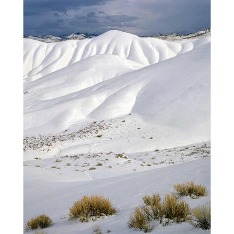 OR, John Day Fossil Beds NM The Painted Hills Gold Ornate Wood Framed Art Print with Double Matting by Terrill, Steve