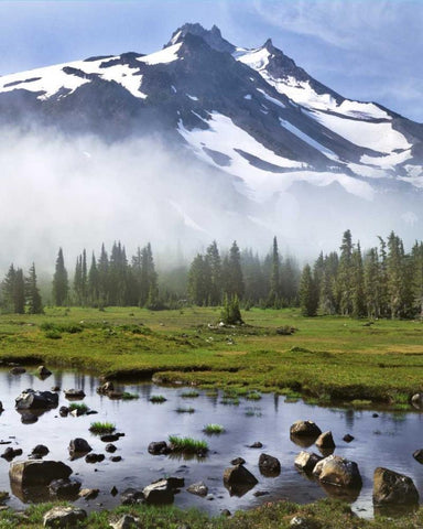 OR, Mt Jefferson Wilderness Mt Jefferson at dawn Black Ornate Wood Framed Art Print with Double Matting by Terrill, Steve