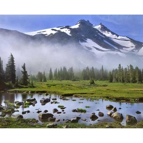 OR, Mt Jefferson Wilderness Mt Jefferson at dawn Black Modern Wood Framed Art Print by Terrill, Steve