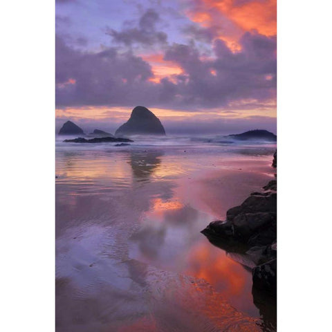 Oregon, Oceanside Sunset on beach and sea stacks Gold Ornate Wood Framed Art Print with Double Matting by Terrill, Steve