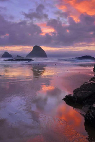 Oregon, Oceanside Sunset on beach and sea stacks Black Ornate Wood Framed Art Print with Double Matting by Terrill, Steve