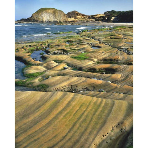 OR, Seal Rock SP Patterns on sandstone rock Black Modern Wood Framed Art Print by Terrill, Steve