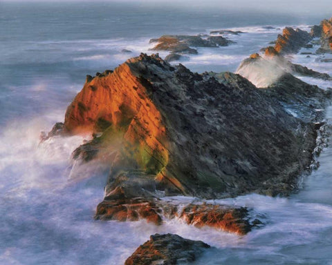 OR, Shore Acres SP Sunset on ocean shore cliffs Black Ornate Wood Framed Art Print with Double Matting by Terrill, Steve