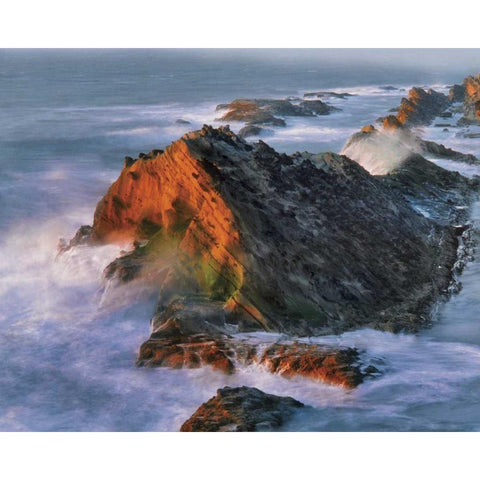 OR, Shore Acres SP Sunset on ocean shore cliffs White Modern Wood Framed Art Print by Terrill, Steve