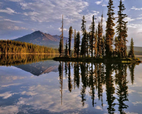 Oregon Diamond Peak reflecting in Summit Lake White Modern Wood Framed Art Print with Double Matting by Terrill, Steve