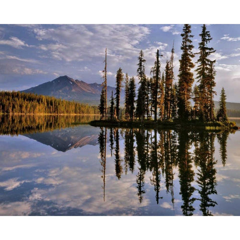 Oregon Diamond Peak reflecting in Summit Lake White Modern Wood Framed Art Print by Terrill, Steve