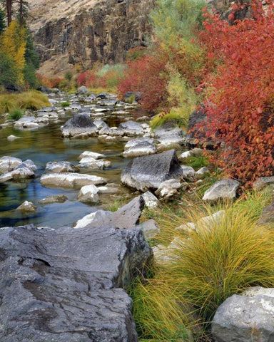 USA, Oregon Fall colors along John Day River White Modern Wood Framed Art Print with Double Matting by Terrill, Steve
