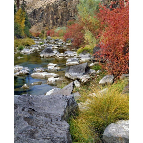 USA, Oregon Fall colors along John Day River Black Modern Wood Framed Art Print by Terrill, Steve