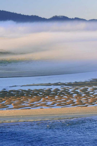 USA, Oregon Fog over Netarts Bay White Modern Wood Framed Art Print with Double Matting by Terrill, Steve