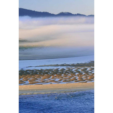 USA, Oregon Fog over Netarts Bay Black Modern Wood Framed Art Print by Terrill, Steve