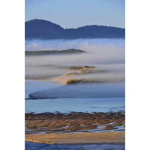 USA, Oregon Morning fog over Netarts Bay Gold Ornate Wood Framed Art Print with Double Matting by Terrill, Steve