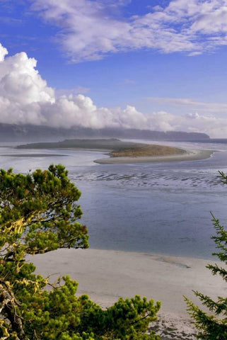 Oregon Netarts Bay in Cape Lookout State Park Black Ornate Wood Framed Art Print with Double Matting by Terrill, Steve