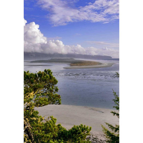 Oregon Netarts Bay in Cape Lookout State Park Black Modern Wood Framed Art Print by Terrill, Steve