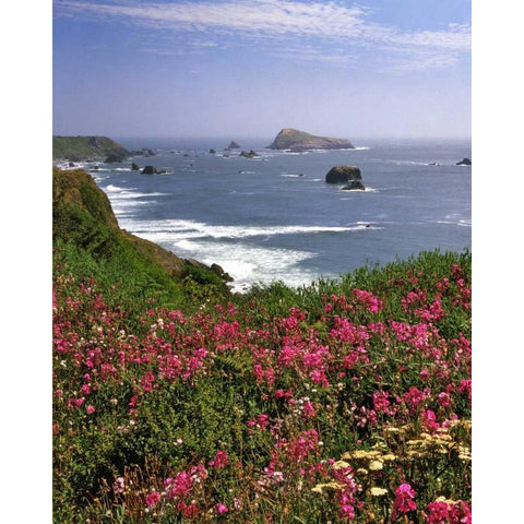 Oregon Seascape of Goat Rock and sweet peas White Modern Wood Framed Art Print by Terrill, Steve
