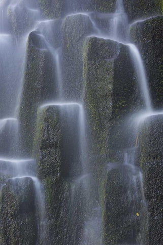 Oregon, Proxy Falls Waterfalls over basalt White Modern Wood Framed Art Print with Double Matting by Delisle, Gilles