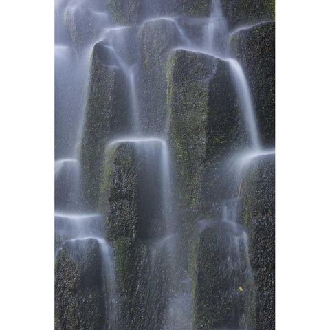Oregon, Proxy Falls Waterfalls over basalt Gold Ornate Wood Framed Art Print with Double Matting by Delisle, Gilles