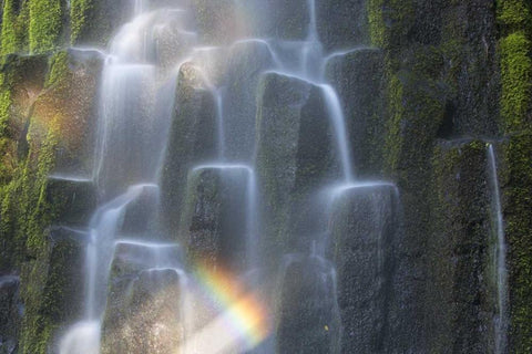 OR, Proxy Falls Waterfall rainbow over columns Black Ornate Wood Framed Art Print with Double Matting by Delisle, Gilles