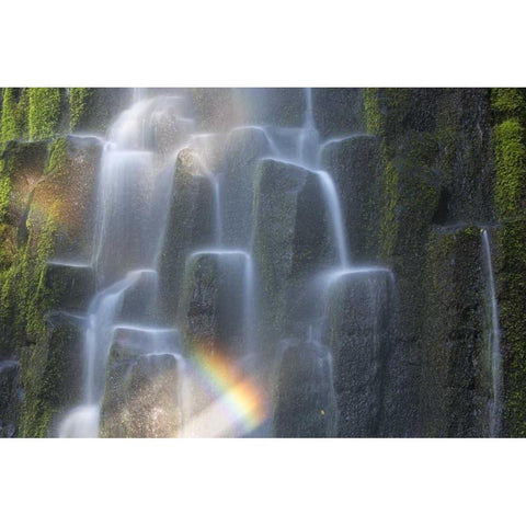 OR, Proxy Falls Waterfall rainbow over columns Black Modern Wood Framed Art Print by Delisle, Gilles