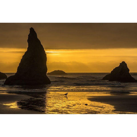 Oregon-Bandon Beach Wizards Hat formation at sunset  Black Modern Wood Framed Art Print by Jaynes Gallery