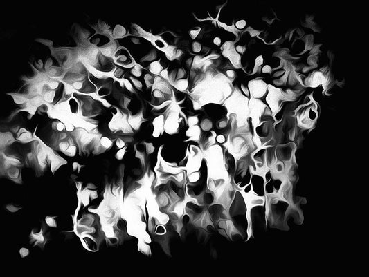 Image Only