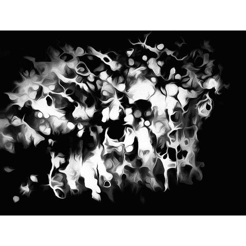 Oregon Abstract of black and white photograph Black Modern Wood Framed Art Print by Jaynes Gallery