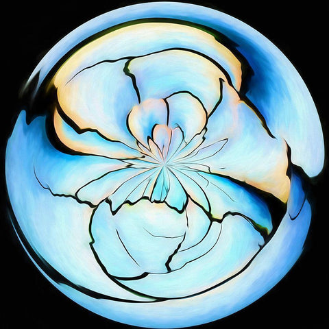 Oregon-Alvord Desert Abstract of alkali salt lake bed Black Modern Wood Framed Art Print by Jaynes Gallery