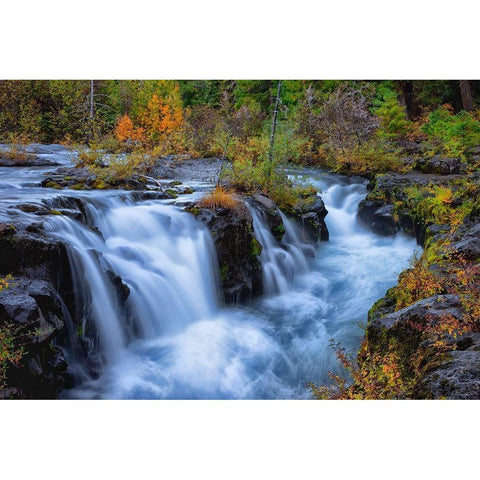 Oregon-Rogue-Umpqua Scenic Byway Upper Rogue River cascades into narrow gorge Black Modern Wood Framed Art Print by Jaynes Gallery