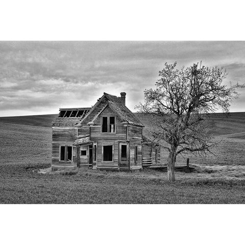 Oregon-Dufur Historic abandoned Nelson house Black Modern Wood Framed Art Print by Jaynes Gallery