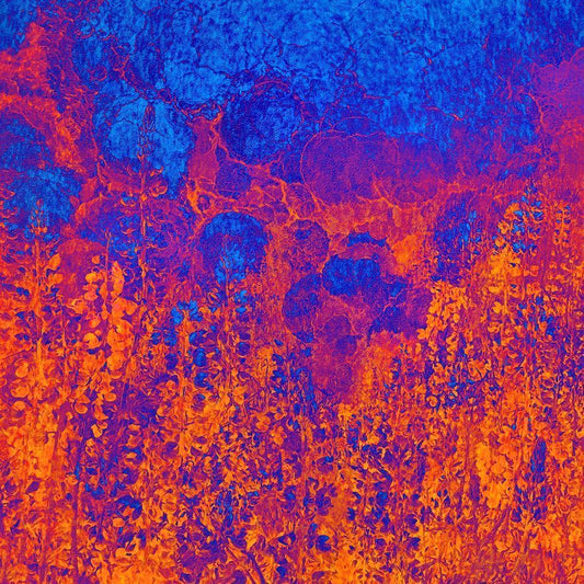 Image Only