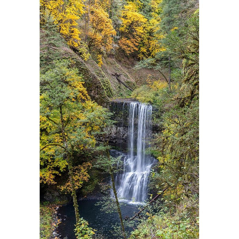 USA-Oregon-Silver Falls State Park Lower South Falls waterfall landscape Black Modern Wood Framed Art Print by Jaynes Gallery